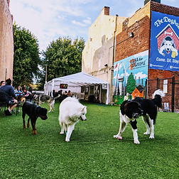 PXL_20201016_220122262.MP (1) (2) (1).jpg